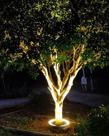 curved Led Tree Light